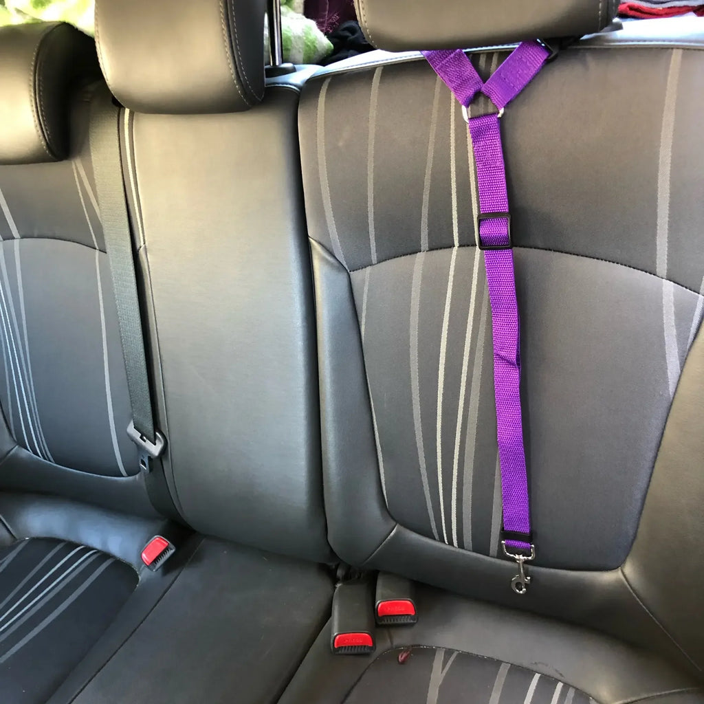 Cinturón de seguridad dos en uno de color sólido para mascotas, correa de nailon, cinturón de seguridad para asiento trasero, arnés ajustable para perros, collar, accesorios para mascotas