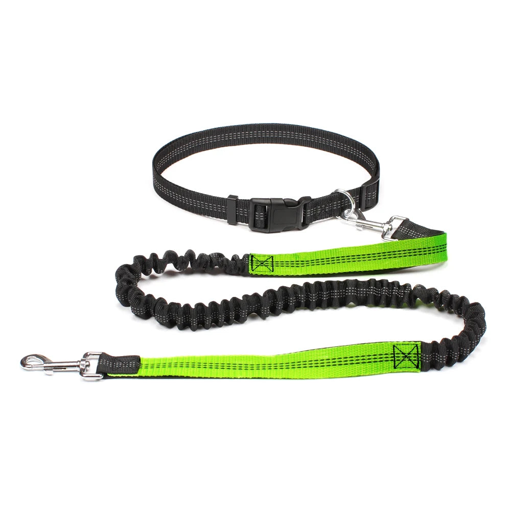 Hands-Free Dog Leash with Waist Belt – Adjustable Reflective Bungee Lead for Running, Walking & Outdoor Training