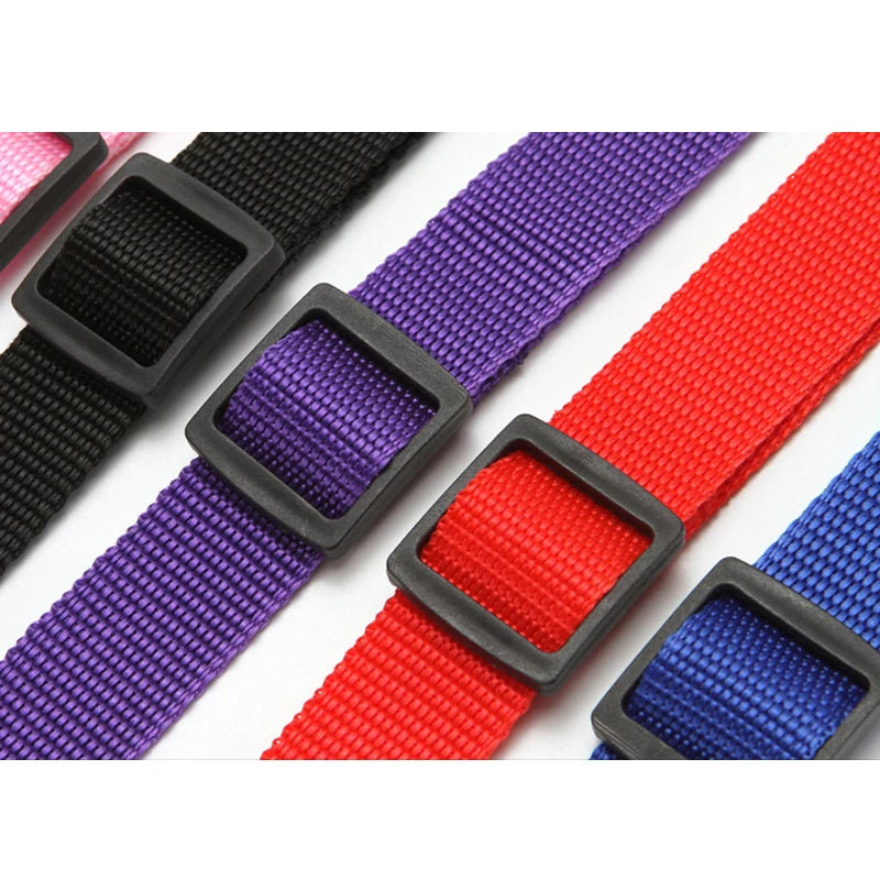 Cinturón de seguridad dos en uno de color sólido para mascotas, correa de nailon, cinturón de seguridad para asiento trasero, arnés ajustable para perros, collar, accesorios para mascotas
