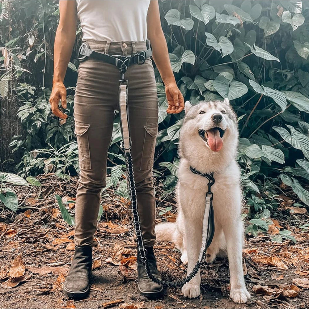 Hands-Free Dog Leash with Waist Belt – Reflective Bungee Running Lead with Lumbar Support for Walking & Outdoor Adventures