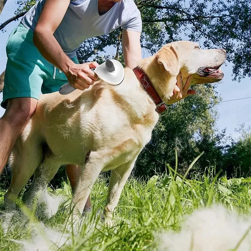 Cepillo para perros, peine para gatos, cepillo autolimpiante para quitar el pelo de mascotas para perros y gatos, herramientas de aseo para mascotas, peine desenredante, accesorios para perros