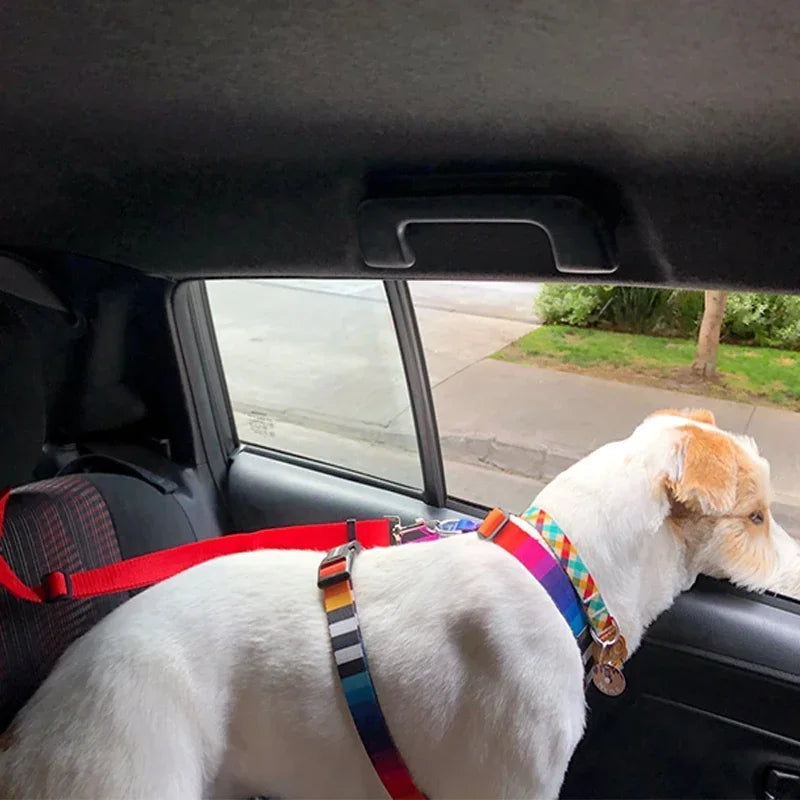 Adjustable Pet Car Seat Belt – Nylon Safety Harness Leash for Dogs & Cats Travel, Driving & Backseat Protection