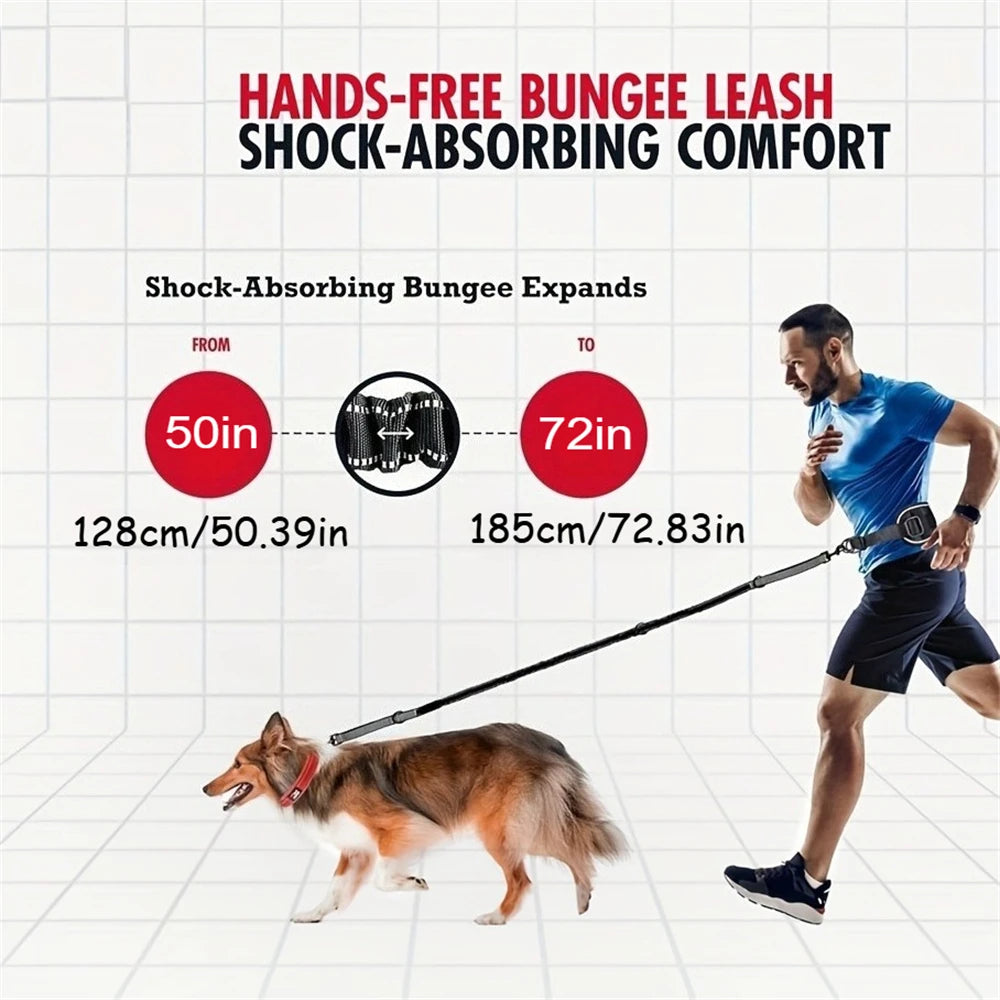 Hands-Free Dog Leash with Waist Belt – Reflective Bungee Running Lead with Lumbar Support for Walking & Outdoor Adventures