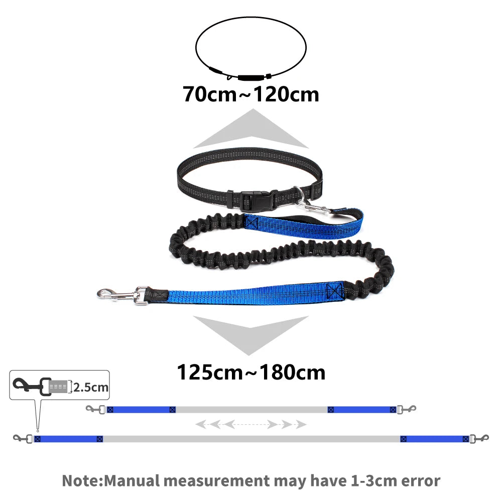 Hands-Free Dog Leash with Waist Belt – Adjustable Reflective Bungee Lead for Running, Walking & Outdoor Training
