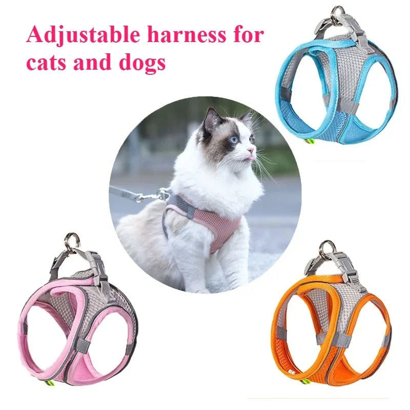 Plush Squeaky Pet Toy – Soft Interactive Toy for Dogs & Cats