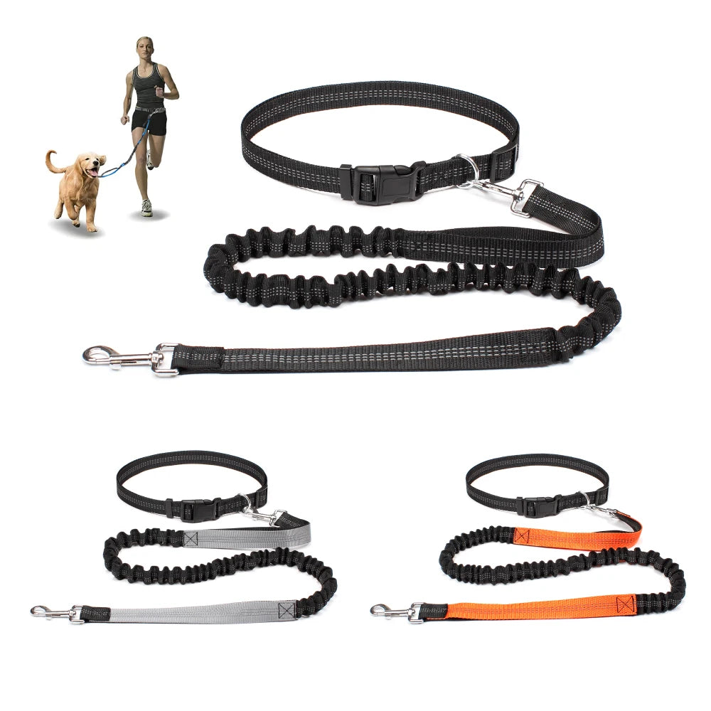 Hands-Free Dog Leash with Waist Belt – Adjustable Reflective Bungee Lead for Running, Walking & Outdoor Training