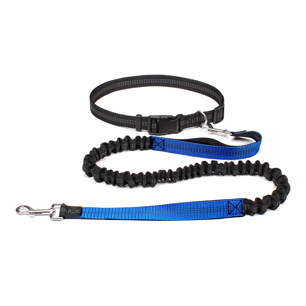 Hands-Free Dog Leash with Waist Belt – Adjustable Reflective Bungee Lead for Running, Walking & Outdoor Training