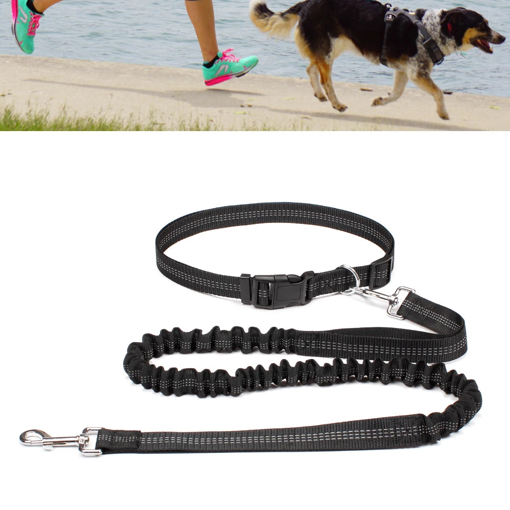 Hands-Free Dog Leash with Waist Belt – Adjustable Reflective Bungee Lead for Running, Walking & Outdoor Training