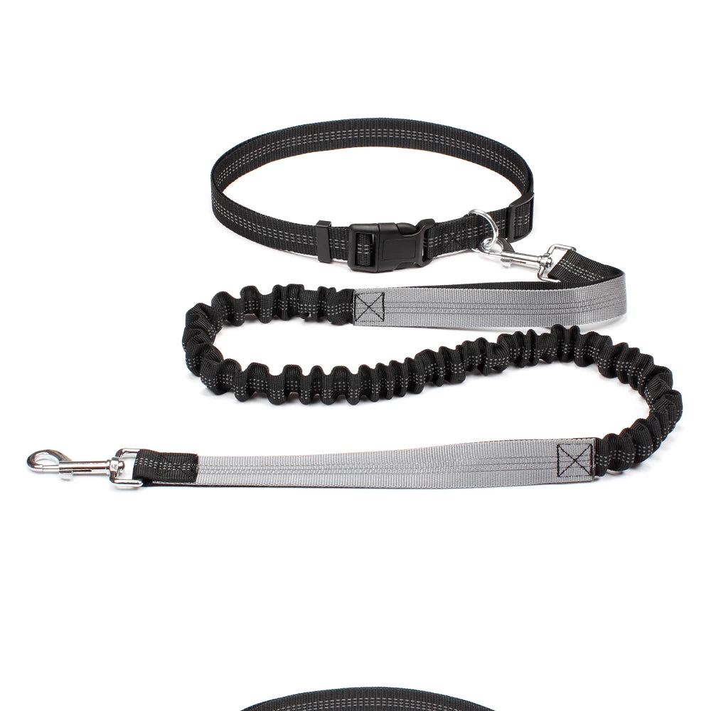 Hands-Free Dog Leash with Waist Belt – Adjustable Reflective Bungee Lead for Running, Walking & Outdoor Training
