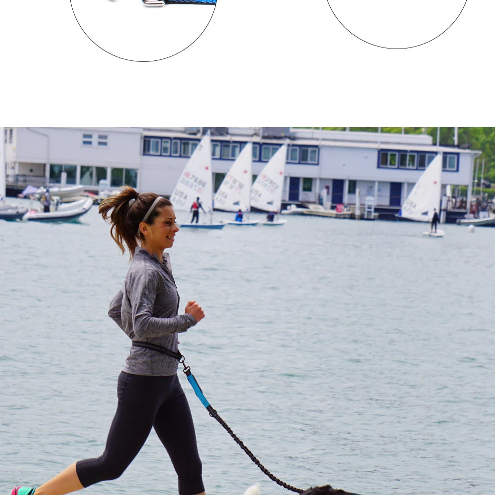 Hands-Free Dog Leash with Waist Belt – Adjustable Reflective Bungee Lead for Running, Walking & Outdoor Training