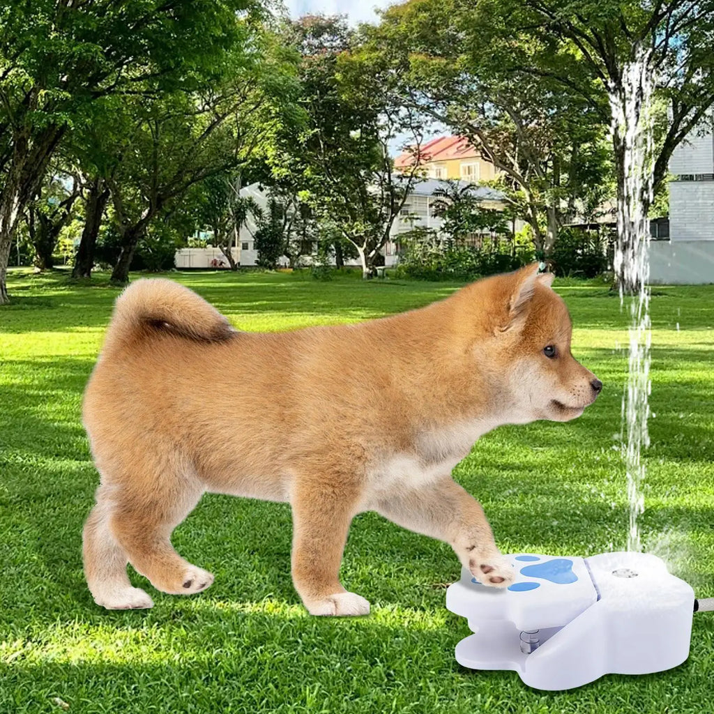 Paw Activated Dog Water Fountain – Step-On Outdoor Drinking Dispenser & Interactive Sprinkler Toy for Dogs