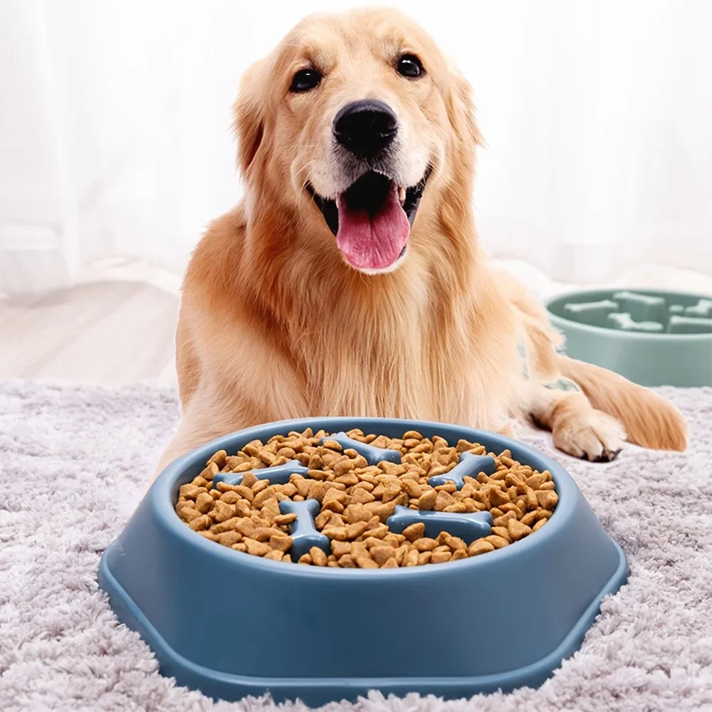 Large Capacity Slow Feeder Pet Bowl – Anti-Choking Puzzle Food Dish for Dogs & Cats with Non-Slip Base