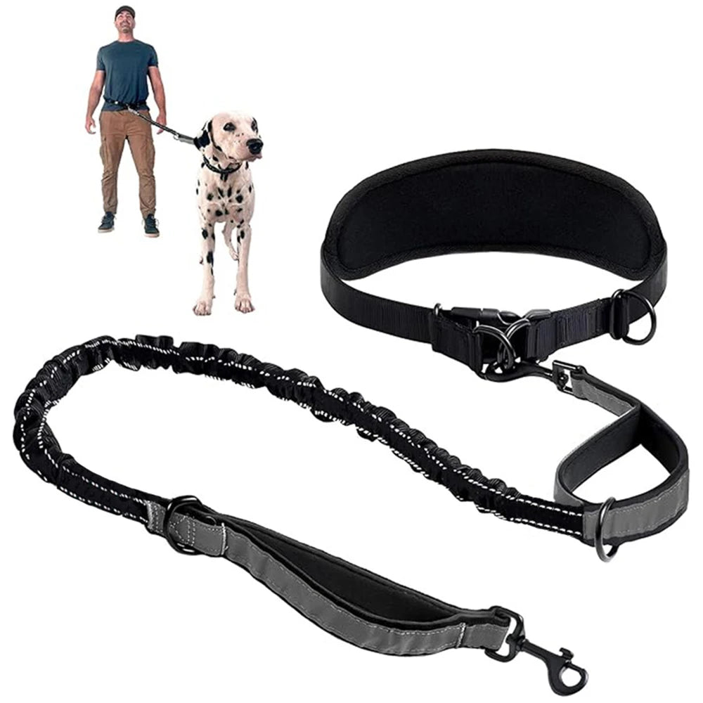 Hands-Free Dog Leash with Waist Belt – Reflective Bungee Running Lead with Lumbar Support for Walking & Outdoor Adventures