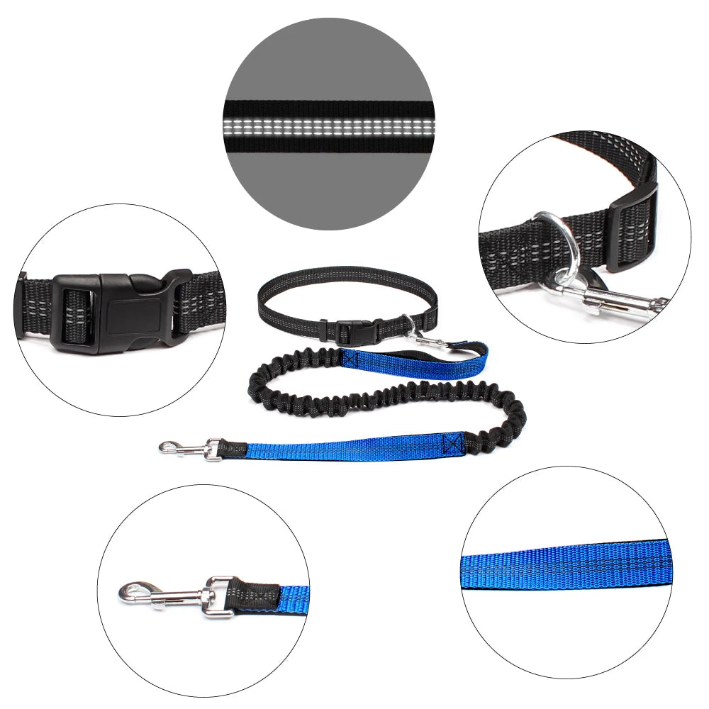 Hands-Free Dog Leash with Waist Belt – Adjustable Reflective Bungee Lead for Running, Walking & Outdoor Training
