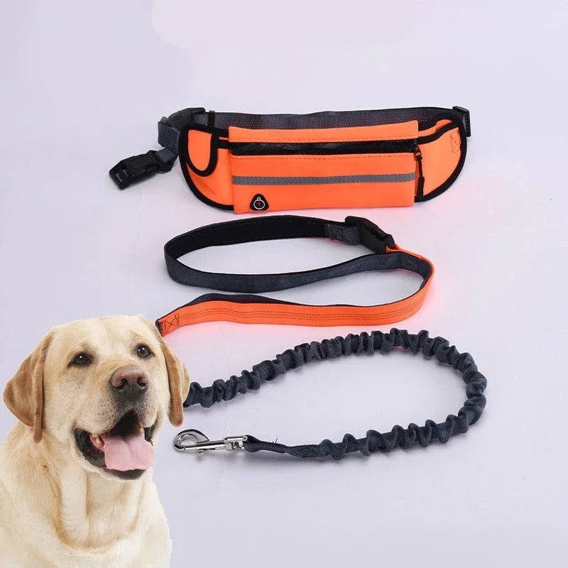Hands-Free Dog Leash with Waist Bag – Reflective Adjustable Bungee Running Lead for Walking, Jogging & Outdoor Adventures