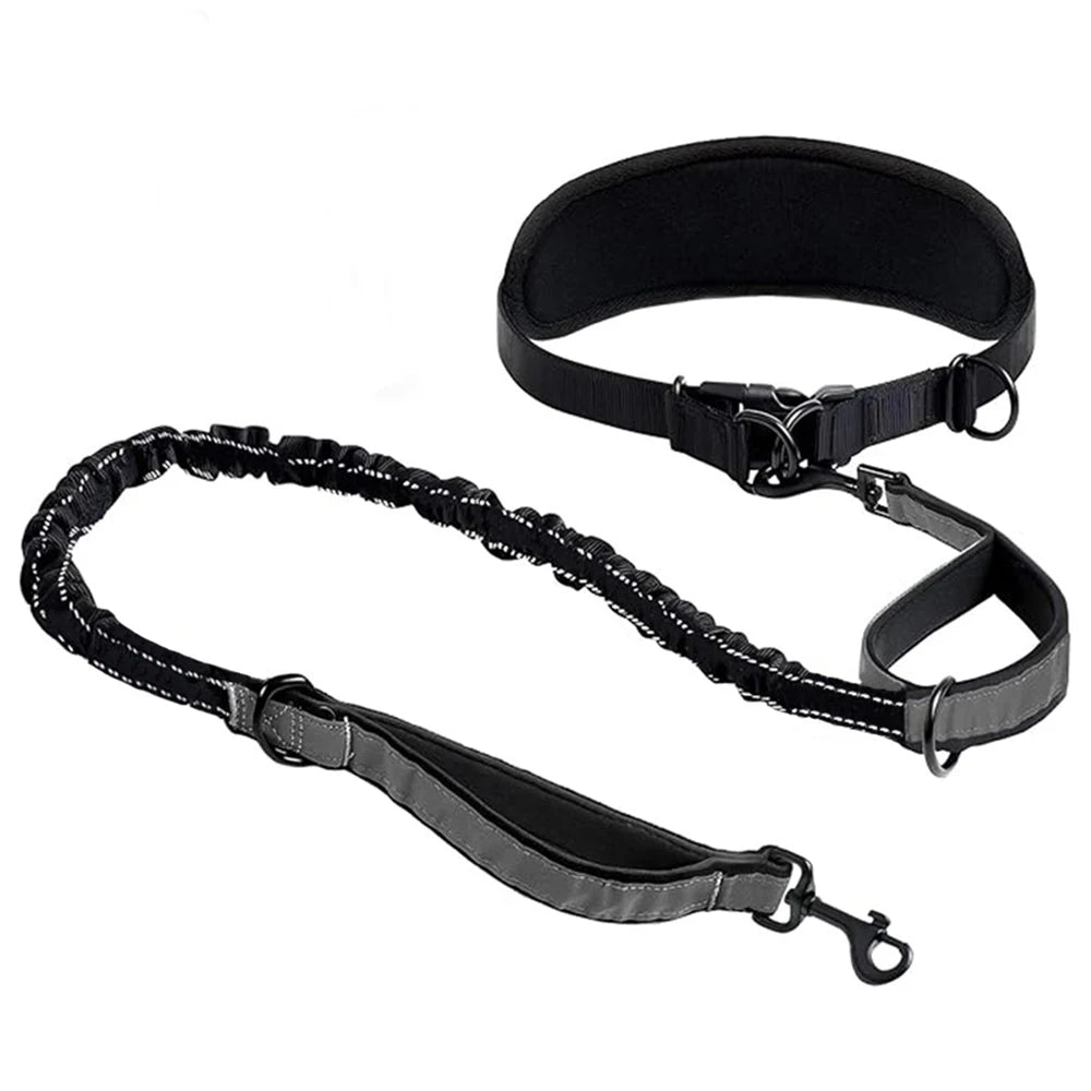 Hands-Free Dog Leash with Waist Belt – Reflective Bungee Running Lead with Lumbar Support for Walking & Outdoor Adventures