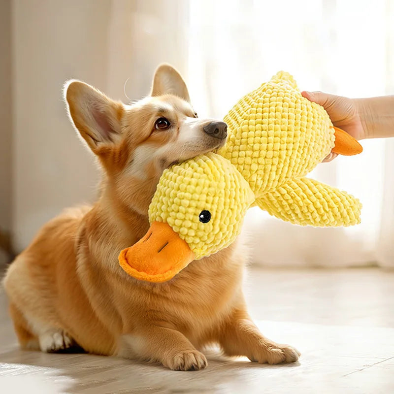 Plush Squeaky Pet Toy – Soft Interactive Toy for Dogs & Cats