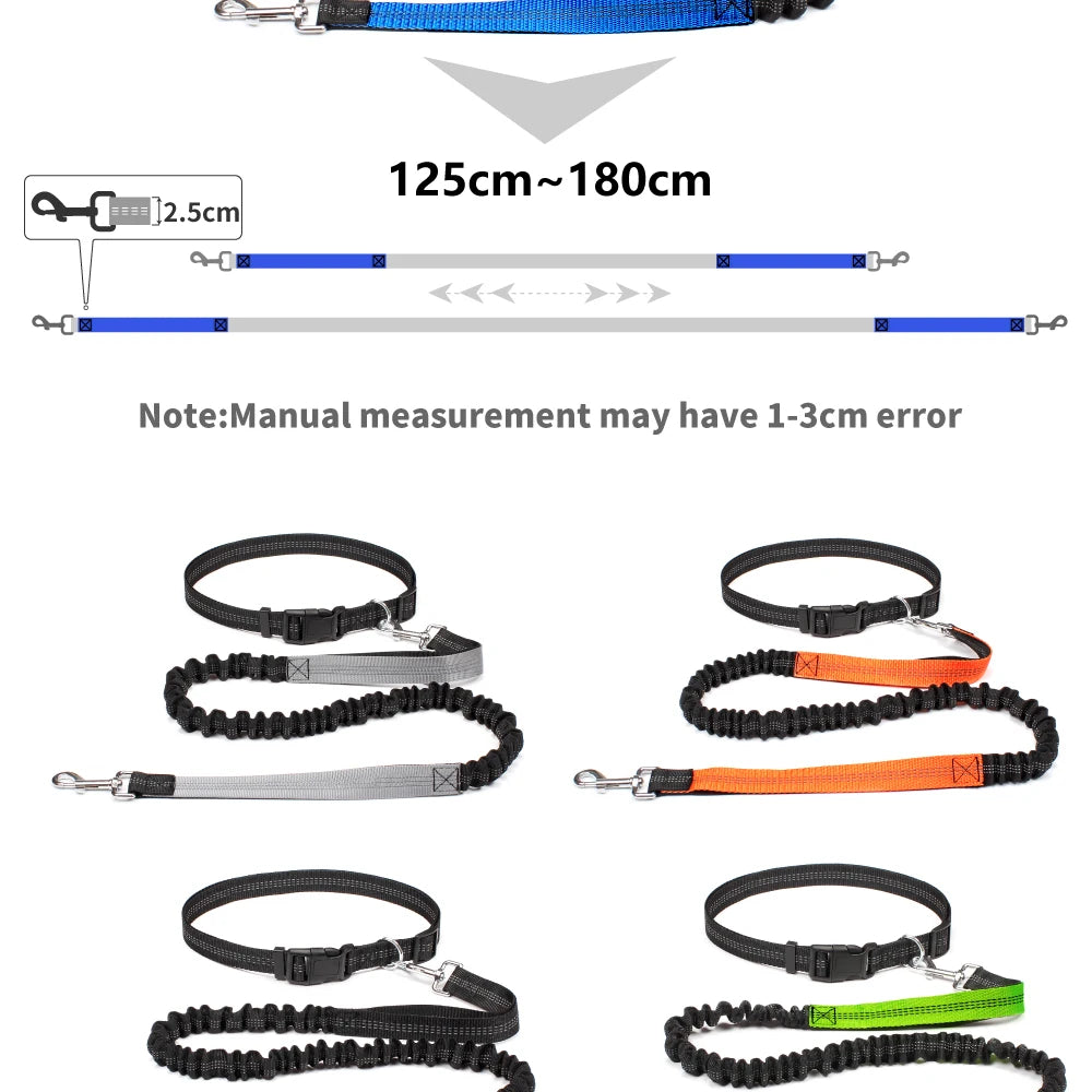 Hands-Free Dog Leash with Waist Belt – Adjustable Reflective Bungee Lead for Running, Walking & Outdoor Training