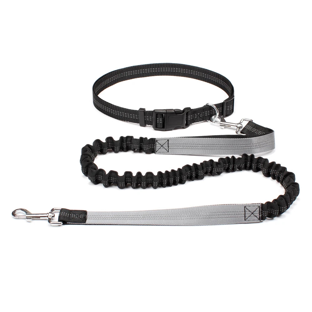 Hands-Free Dog Leash with Waist Belt – Adjustable Reflective Bungee Lead for Running, Walking & Outdoor Training