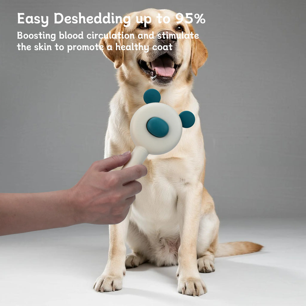 Oitabi Self-Cleaning Slicker Brush – Skin-Friendly Deshedding Grooming Brush for Dogs & Cats