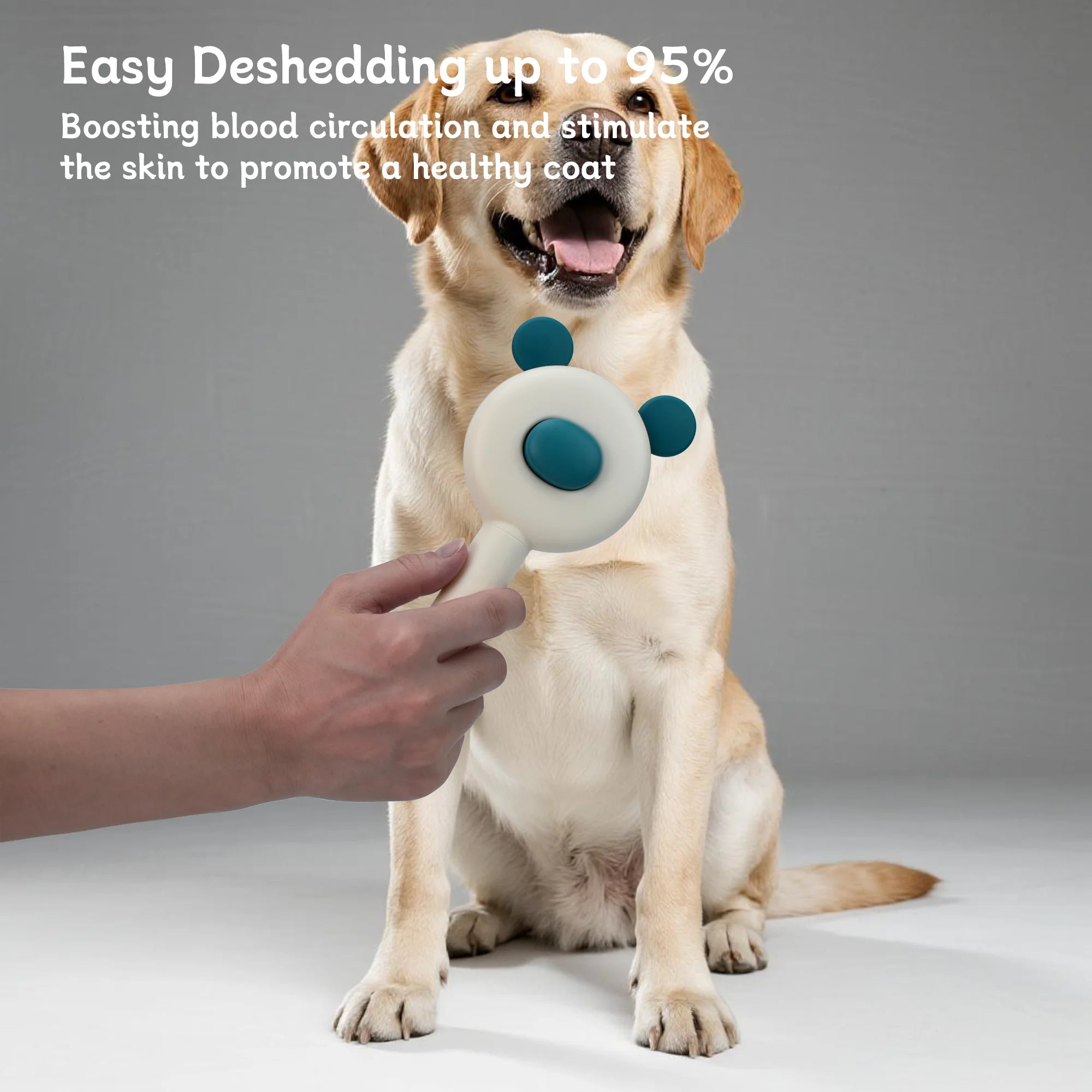 Oitabi Self-Cleaning Slicker Brush – Skin-Friendly Deshedding Grooming Brush for Dogs & Cats