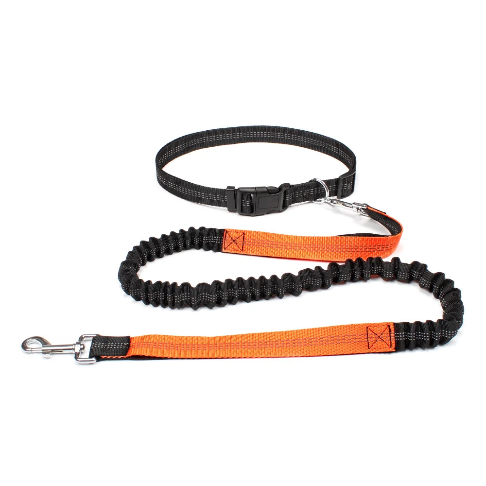 Hands-Free Dog Leash with Waist Belt – Adjustable Reflective Bungee Lead for Running, Walking & Outdoor Training
