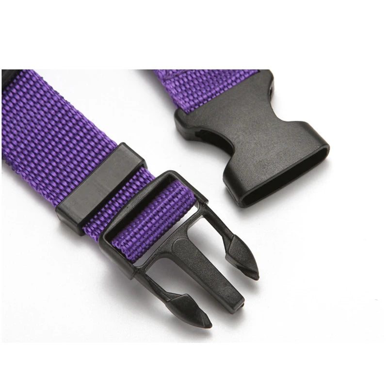 Cinturón de seguridad dos en uno de color sólido para mascotas, correa de nailon, cinturón de seguridad para asiento trasero, arnés ajustable para perros, collar, accesorios para mascotas
