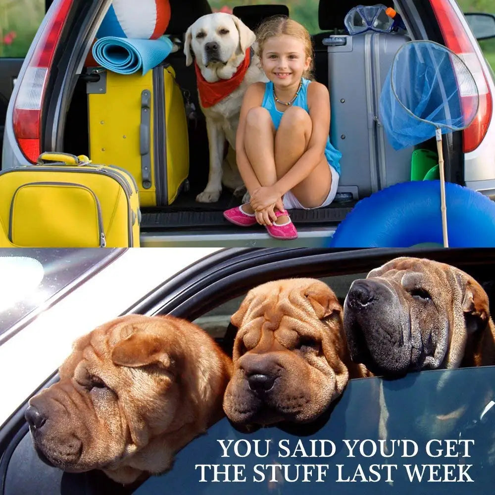 Pet Car Safety Harness – Adjustable Dog & Cat Seat Belt Strap for Secure Travel, Driving & Vehicle Protection