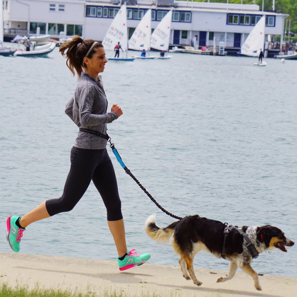 Hands-Free Dog Leash with Waist Belt – Adjustable Reflective Bungee Lead for Running, Walking & Outdoor Training