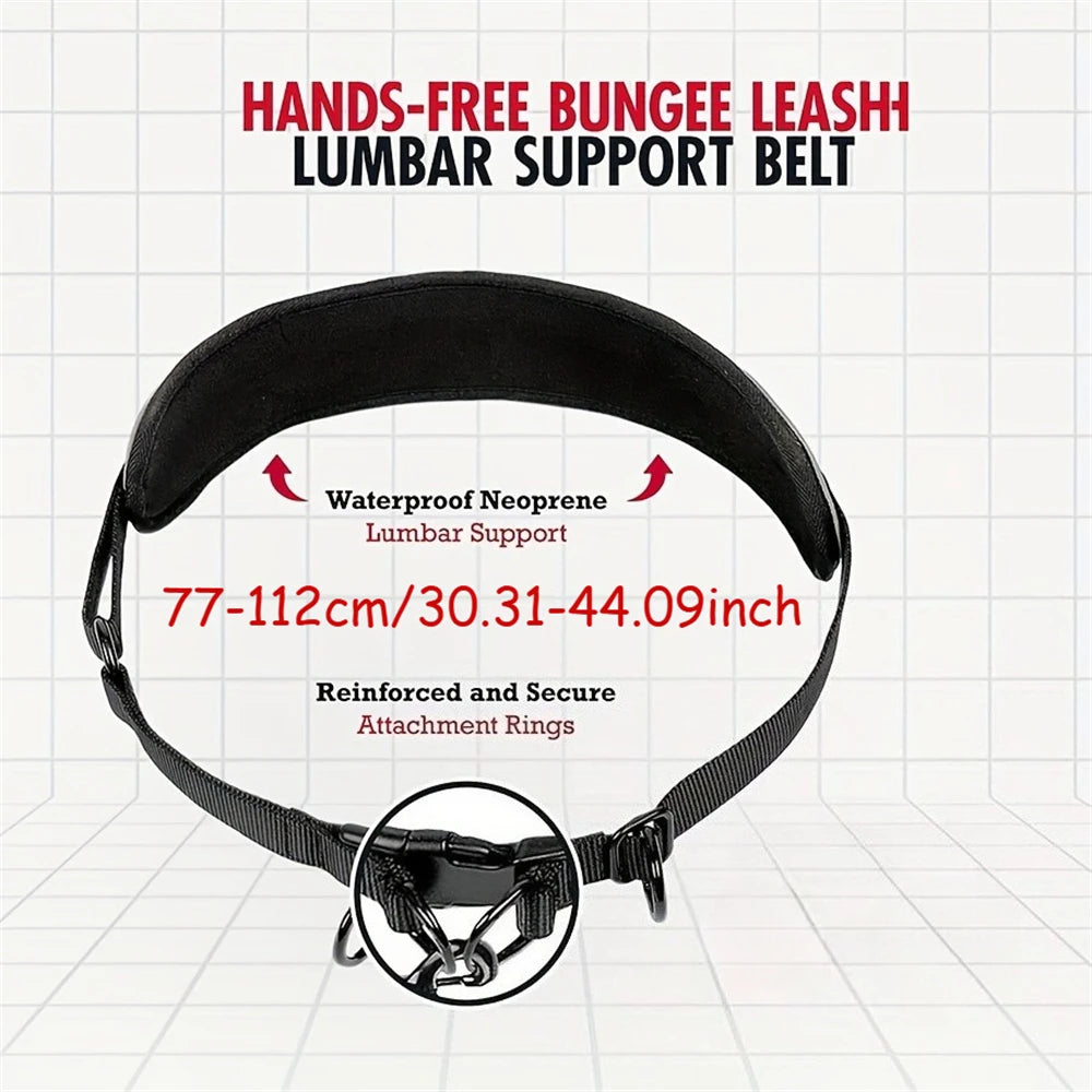 Hands-Free Dog Leash with Waist Belt – Reflective Bungee Running Lead with Lumbar Support for Walking & Outdoor Adventures