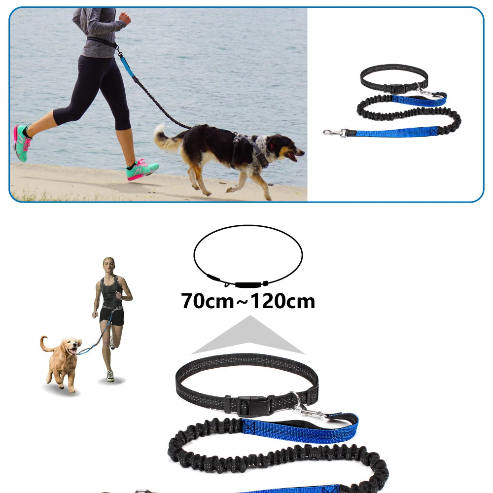 Hands-Free Dog Leash with Waist Belt – Adjustable Reflective Bungee Lead for Running, Walking & Outdoor Training