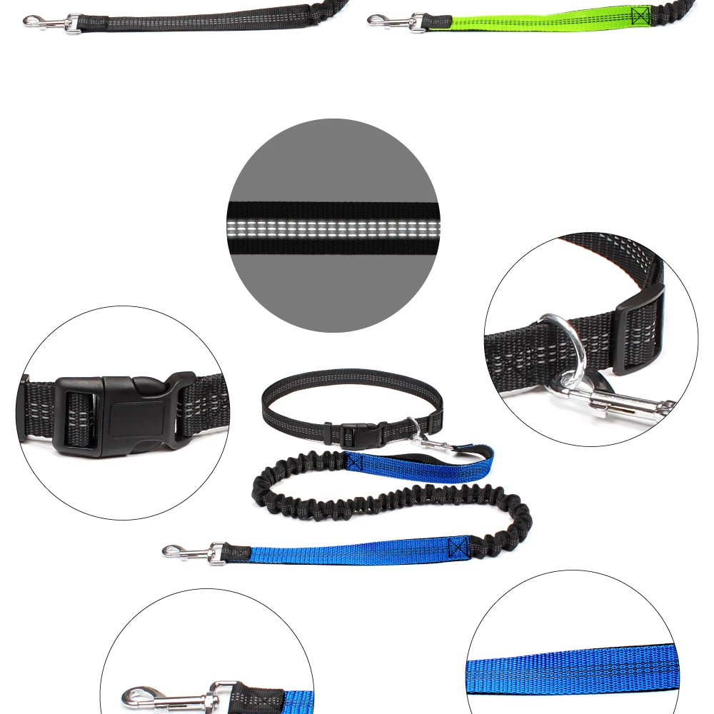 Hands-Free Dog Leash with Waist Belt – Adjustable Reflective Bungee Lead for Running, Walking & Outdoor Training