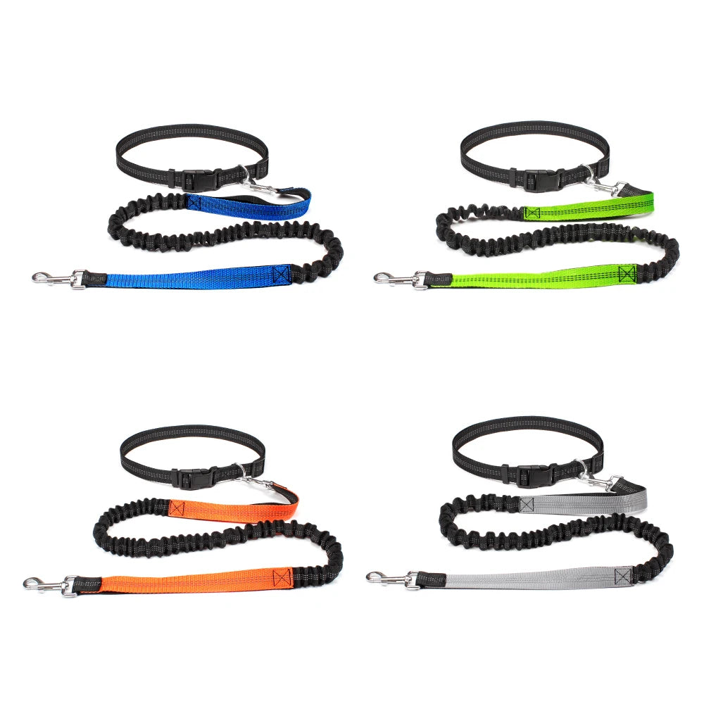 Hands-Free Dog Leash with Waist Belt – Adjustable Reflective Bungee Lead for Running, Walking & Outdoor Training