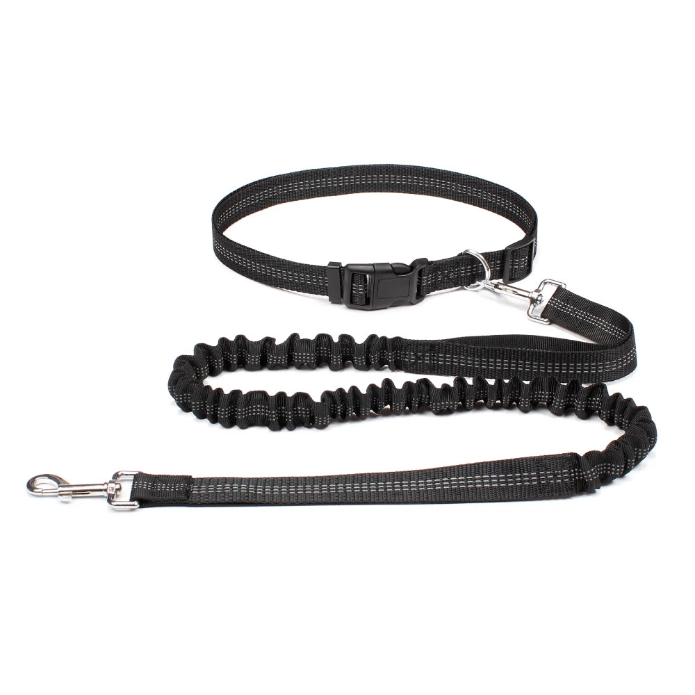Hands-Free Dog Leash with Waist Belt – Adjustable Reflective Bungee Lead for Running, Walking & Outdoor Training