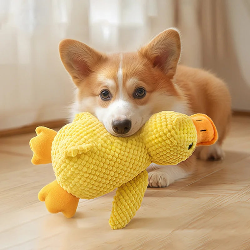 Plush Squeaky Pet Toy – Soft Interactive Toy for Dogs & Cats