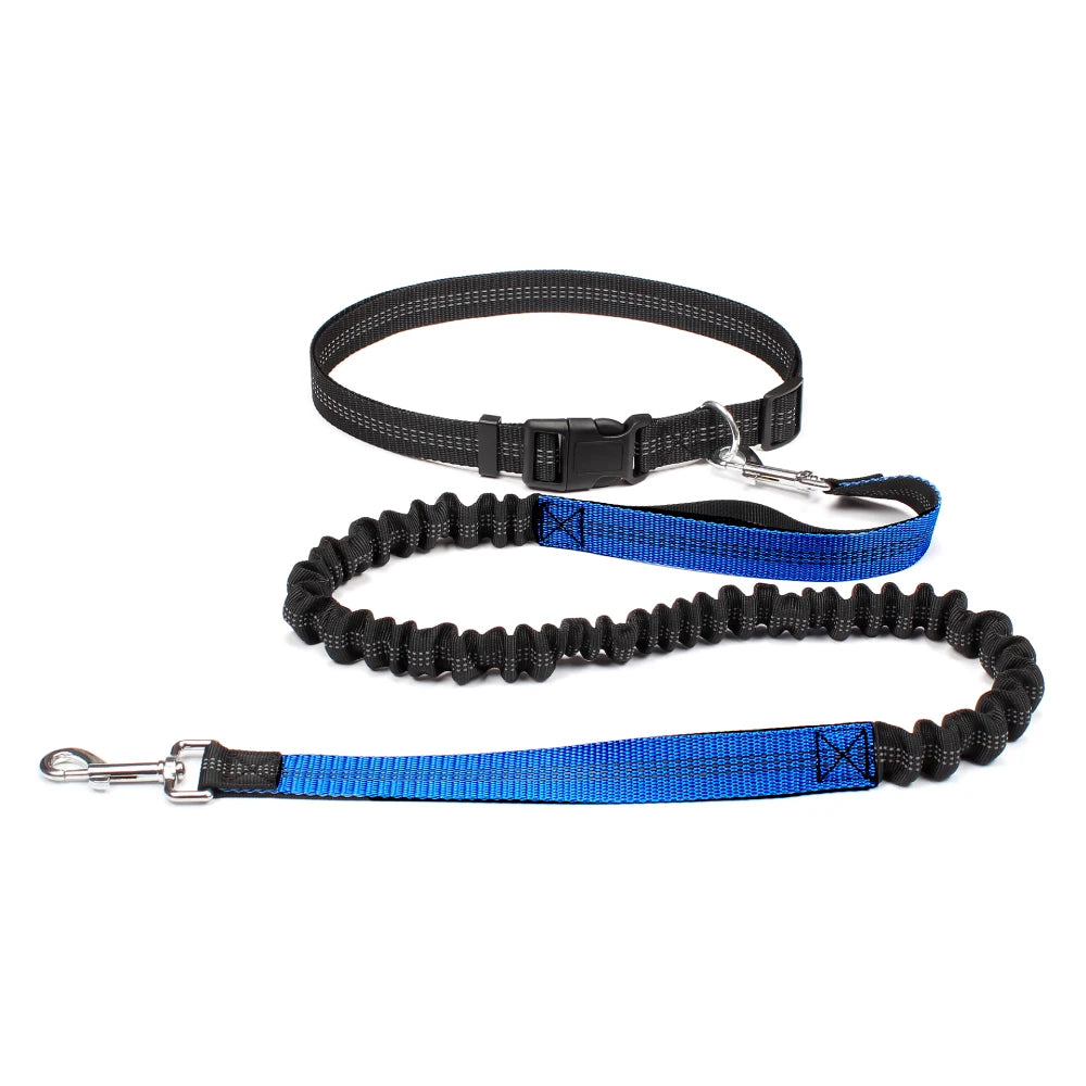 Hands-Free Dog Leash with Waist Belt – Adjustable Reflective Bungee Lead for Running, Walking & Outdoor Training