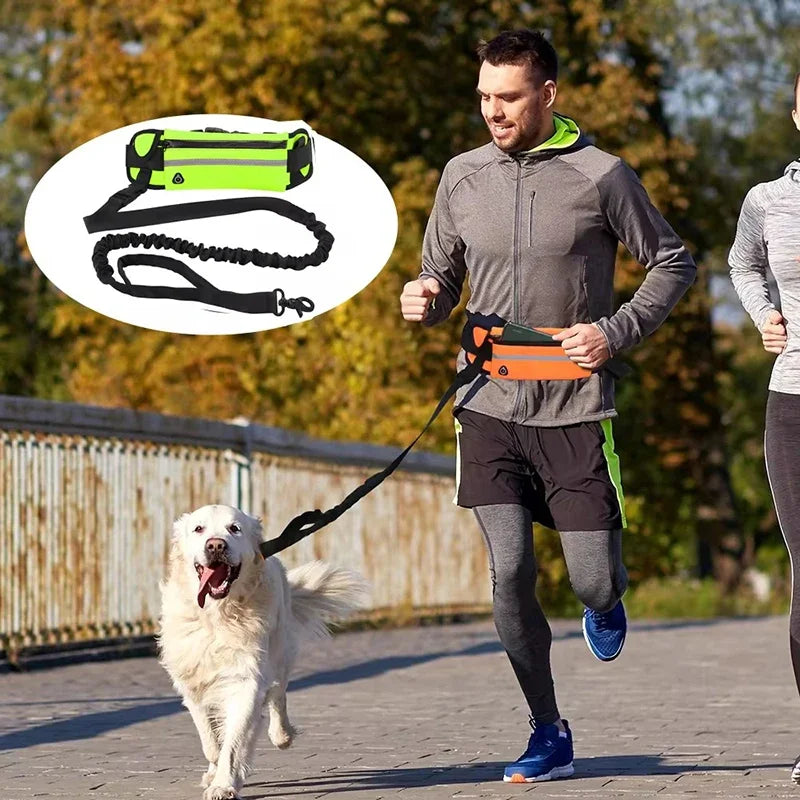 Hands-Free Dog Leash with Waist Bag – Reflective Adjustable Bungee Running Lead for Walking, Jogging & Outdoor Adventures