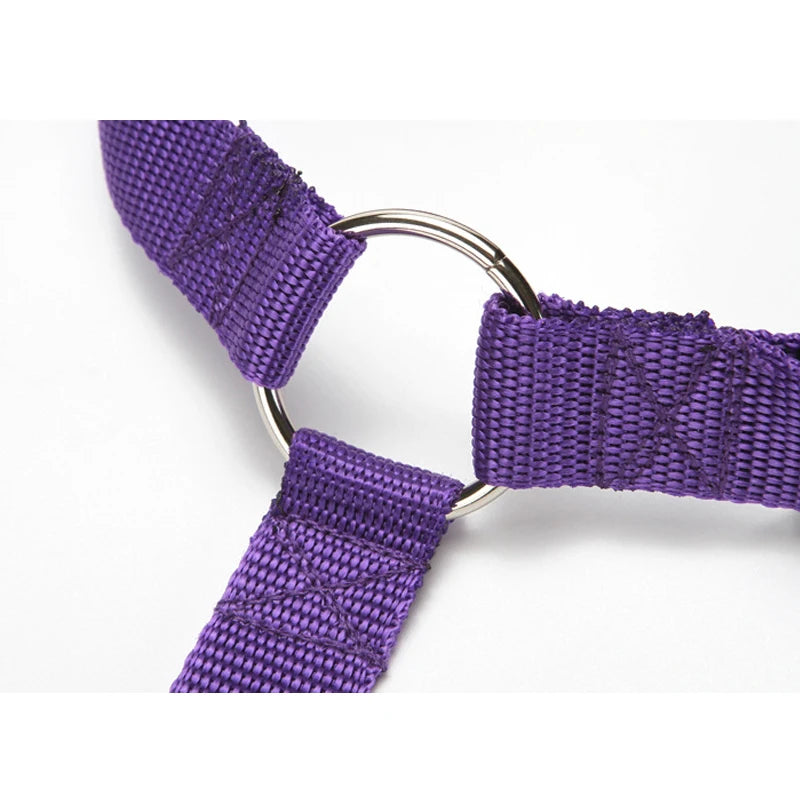 Cinturón de seguridad dos en uno de color sólido para mascotas, correa de nailon, cinturón de seguridad para asiento trasero, arnés ajustable para perros, collar, accesorios para mascotas
