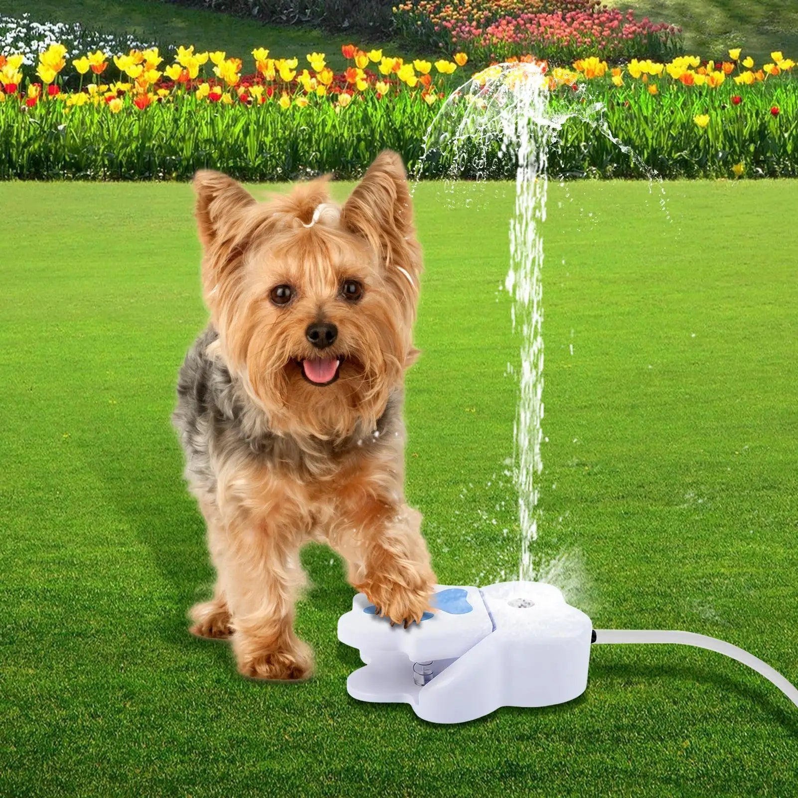 Paw Activated Dog Water Fountain – Step-On Outdoor Drinking Dispenser & Interactive Sprinkler Toy for Dogs